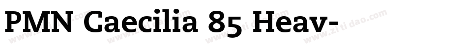 PMN Caecilia 85 Heav字体转换